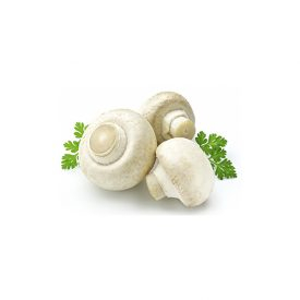 Суши Запорожье, Грибы